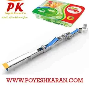 خط تولید و بسته بندی سالاد آماده