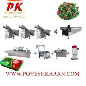 خط سورت و بسته بندی انواع سبزیجات ریشه ای و بدون ریشه