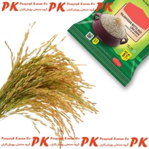نمونه ورودی و خروجی خط سورت و بسته بندی برنج
